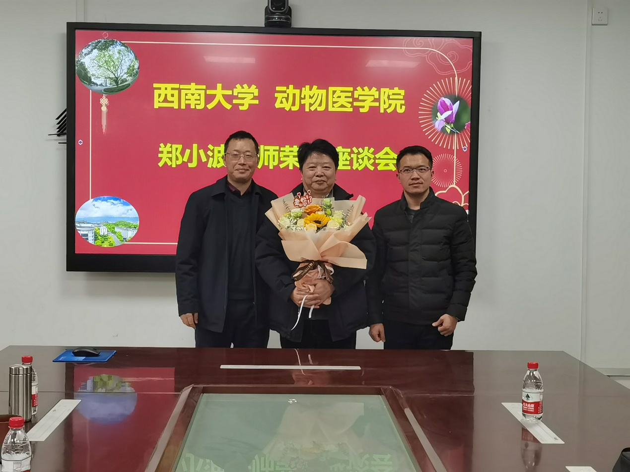 成人动漫
为郑小波老师举行退休座谈会